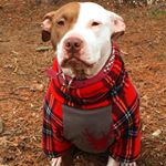 Profile Picture of Meg Ferguson (@m3gferg) on Instagram