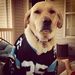 Profile Picture of Brian Haislip (@bhaislip3301) on Pinterest