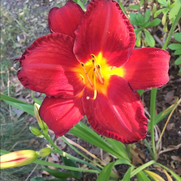 Profile Picture of Heather Neal (@hneal132) on Poshmark