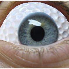 Profile Picture of Dave Wolfe (@GolfspyDave) on Twitter