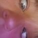 Profile Picture of elly roberts (@luvthepigs) on Pinterest