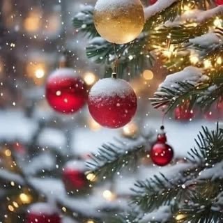 Profile Picture of Deborah Ray (@debray) on Instagram