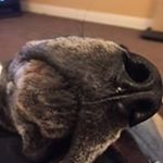 Profile Picture of Janet Rawson (@jamaicasun16) on Instagram