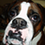 Profile Picture of Paul Barrie (@paul barrie) on Flickr