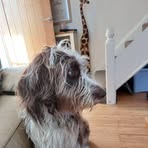 Profile Picture of Buddy Hunkin (@buddy.hunkin.2023) on Facebook