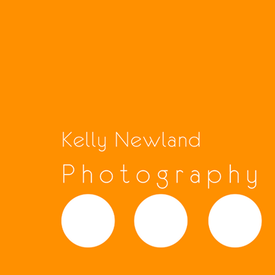 Profile Picture of Kelly Newland (@NZ_Photographer) on Twitter