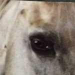 Profile Picture of Albert Vander Wall (@alvanderwall) on Instagram