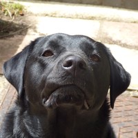 Profile Picture of Emily Maple (@emily-maple-1) on Quora