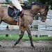 Profile Picture of Suzanne Wieczerzak-Mahan (@suzannewieczerz) on Pinterest
