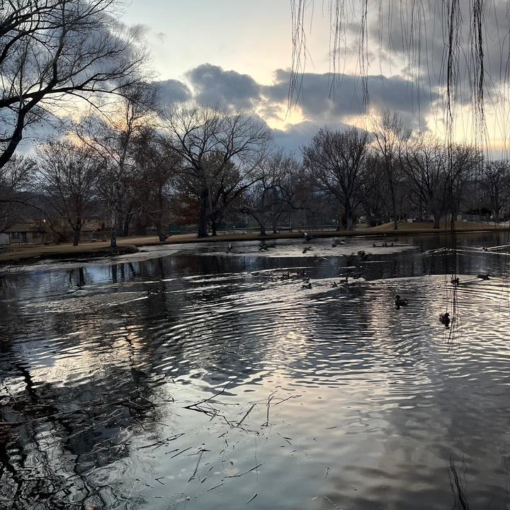 Profile Picture of Arii (@kevinparkerismyhero) on Tiktok