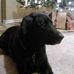 Profile Picture of Michael Cobanovich Jr. (@Michael-Cobanovich-Jr) on Facebook