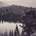 Profile Picture of Nathaniel Poole (@bloodfox234) on Pinterest