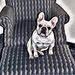 Profile Picture of Bruce Schultz (@natconn01) on Pinterest