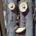 Profile Picture of PAMELA F HUDDLESTON (@trunk1) on Pinterest