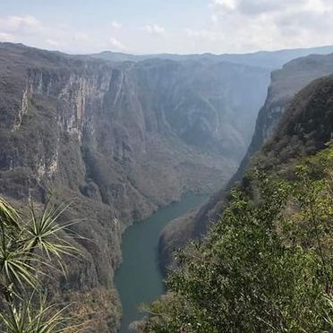 Profile Picture of Norberto Jimenez (@Norbert77005677) on Twitter