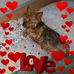 Profile Picture of Claude Adam (@claude.adam.1253) on Facebook
