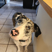 Profile Picture of Paula Tansey (@Twinmommy1215) on Youtube