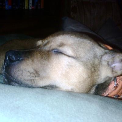 Profile Picture of Stephen Bova (@SBova70) on Twitter