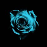 Profile Picture of Lily Gillett (@renegade_blue) on Instagram