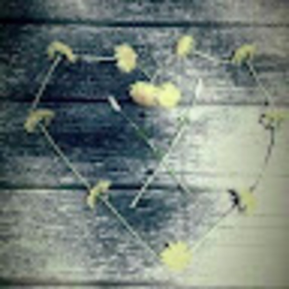 Profile Picture of Alexandrea Falcetta (@dreamae23) on Poshmark