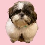 Profile Picture of Ruby Blanding (@rubybcutie) on Instagram