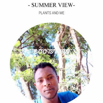 Profile Picture of Kebede Kassa Tessema (@kassa_tessema) on Twitter