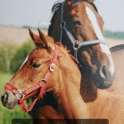 Profile Picture of Kevin Blagg (@KevinBlagg4) on Twitter