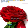 Profile Picture of kartik sharma (@@poojasharma5413) on Tiktok