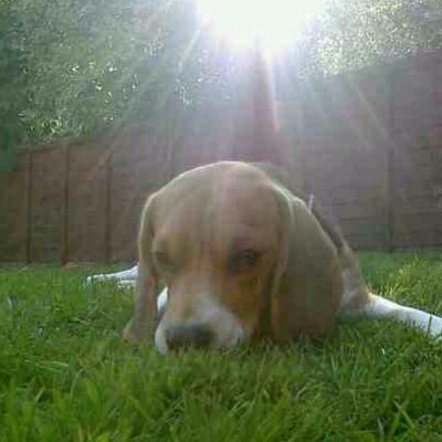 Profile Picture of Julia Wilkins (@jules_403) on Twitter