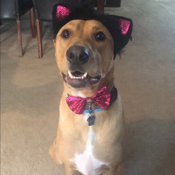 Profile Picture of Tira Scheifley (@twright9811) on Poshmark