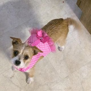 Profile Picture of Bert Swanson (@bert.swanson.7) on Facebook