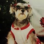 Profile Picture of Rhonda Addison (@addison.rhonda) on Instagram