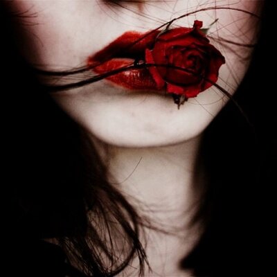Profile Picture of Cuerpos Al Desnudo (@CuerpoDesnudo) on Twitter