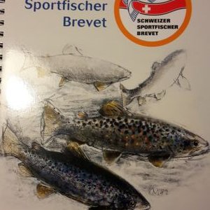 Profile Picture of Samuel Gerber (@SamuelGerber4) on Twitter