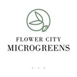 Profile Picture of Stephen Shoaf (@flowercitymicro) on Instagram