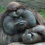 Profile Picture of Greg Hagen (@mongo_might_) on Instagram