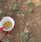 Profile Picture of Haifa AL (@Haifa-AL) on Facebook