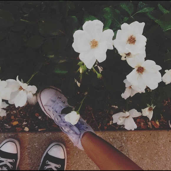 Profile Picture of Leina Sanft (@leinasanft) on Poshmark