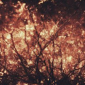 Profile Picture of Keith Greer (@keithrgreer) on Youtube