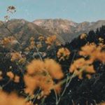 Profile Picture of leonard carline~• (@leona_rd36) on Instagram