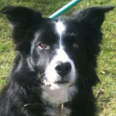 Profile Picture of Dan Mustoe (@evil_1dan) on Twitter