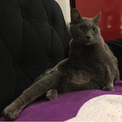Profile Picture of Hui Chin Ku (@AlohaSeattle8) on Twitter