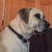 Profile Picture of Bradley Ockers (@bradley.ockers.3) on Facebook
