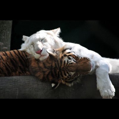 Profile Picture of James Burnley (@jamesburnley121) on Twitter