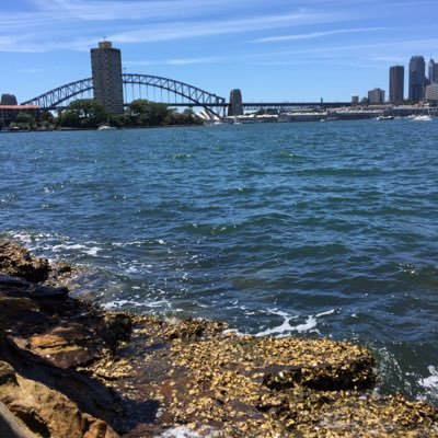 Profile Picture of Kevin QIU (@HK_Kevinqiu) on Twitter