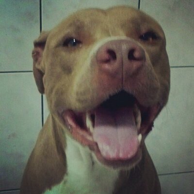Profile Picture of Herb Eddie (@HerbEddie714) on Twitter
