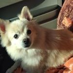 Profile Picture of jennie Hopper (@monstrella81) on Instagram