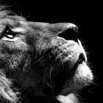 Profile Picture of Kurtis Geske and Hunter Janes (@hk.fitnesss) on Instagram