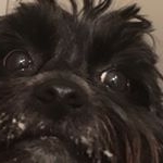 Profile Picture of Jacob Paine (@jacobp_2022) on Instagram