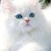 Profile Picture of Marlo Robertson (@marloprobertson) on Pinterest